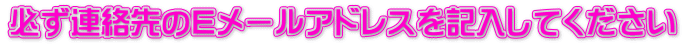 必ず連絡先のEメールアドレスを記入してください