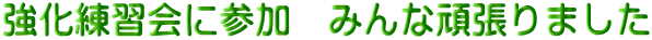 KɎQ@݂Ȋ撣܂